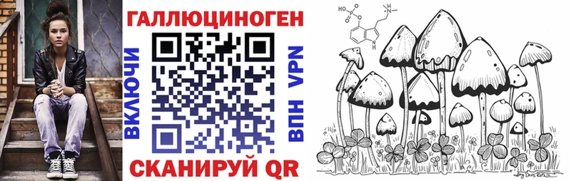 Галлюциногенные грибы GOLDEN TEACHER Копейск