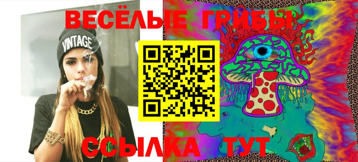 Псилоцибиновые грибы MAGIC MUSHROOMS  Вход с VPN  Галлюциногенные грибы GOLDEN TEACHER  Копейск 