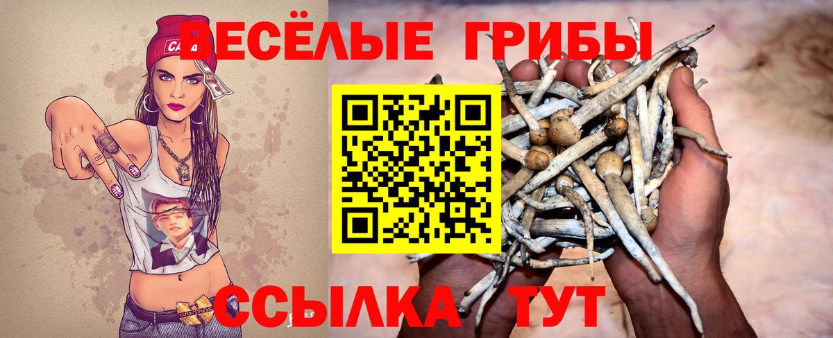 Псилоцибиновые грибы MAGIC MUSHROOMS Копейск