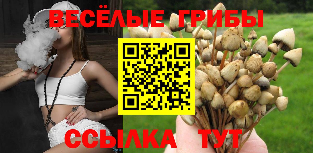 Alpha PVP Копейск